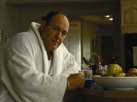 James Gandolfini : des Sopranos au cinéma