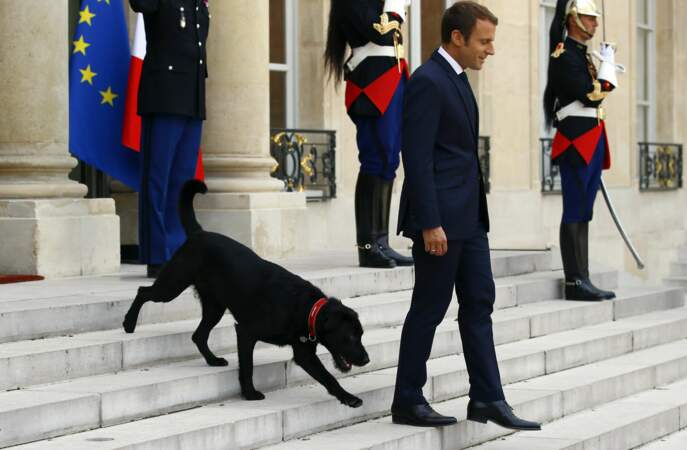 Emmanuel Macron et son chien, Nemo à l'Elysée