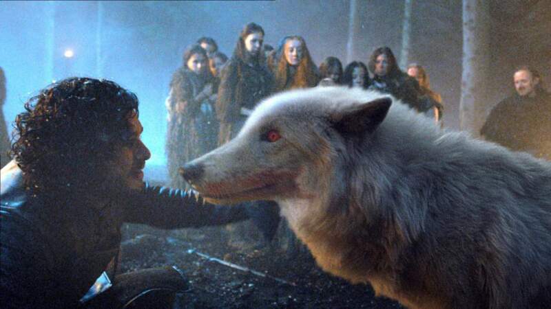 Fantôme le loup blanc de Jon Snow dans Game of Thrones