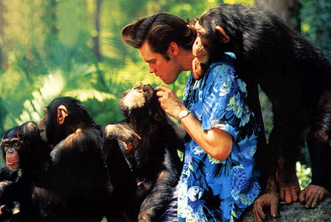 L'enquêteur préféré des animaux de retour dans Ace Ventura en Afrique (1995)