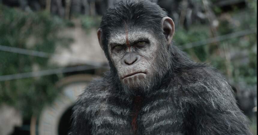 La Planète des singes: l'affrontement de Matt Reeves (2014) : toujours Andy Serkis dans le "rôle" de César