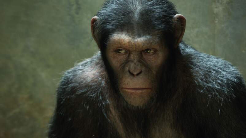 La Planète des singes: les origines (2011) : Andy Serkis dans le "rôle" de César