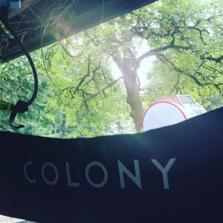 Le tournage de Colony a repris, c'est même Sarah Wayne Callies qui le dit !