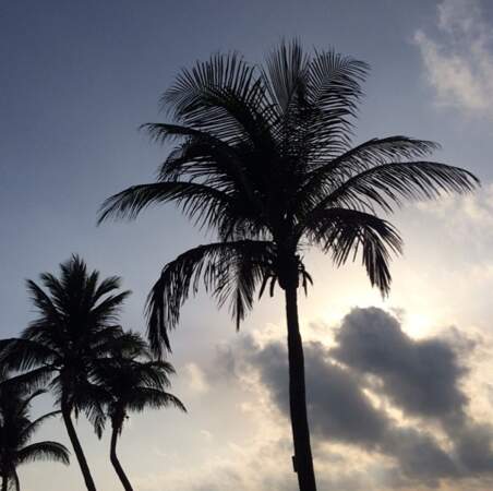 Et des palmiers... C'est ça le paradis ?