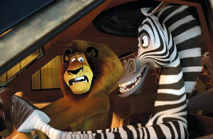 Alex le lion et Marty le zèbre, le duo amusant de la saga Madagascar est doublé par…