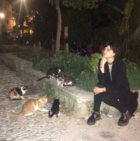 Elle aime bien les chats 