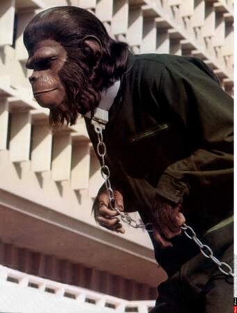 La Conquête de la Planète des singes (1972)