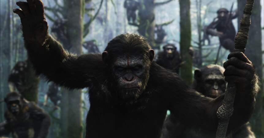 La Planète des singes: l'affrontement (sortie le 30 juillet 2014)