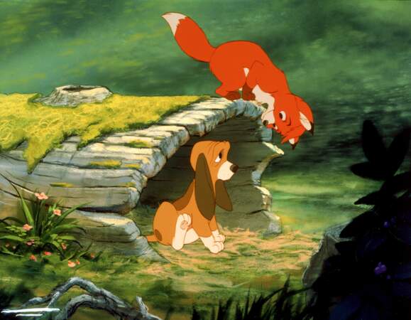 Rox et Rouky (1981) : entre un chiot et un renardeau, difficile de dire qui est le plus mignon