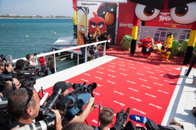 Hier, pour la sortie du dessin-animé Angry Birds, les oiseaux ont fait le show sur la Croisette !
