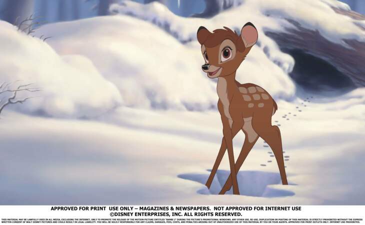 Souvenez-vous de cette scène si attendrissante où Pan-pan initie Bambi (1942) au patinage sur glace 