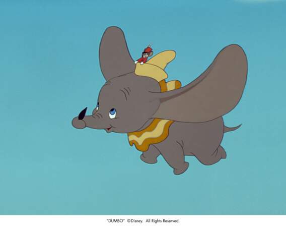 Yeux bleus, petit bonnet et grandes oreilles qui lui ont valu tant de malheurs… Pauvre petit Dumbo (1941) ! 